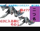 【MHXX縛り実況 真#77】G3に入る前に　その１VS白疾風ナルガクルガ×2