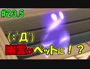 【夫実況！？】冒険しながら西島秀俊制作！【ポータルナイツ】part23.5