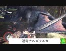 【ＭＨＷ】双剣でベータテスト【迅竜ナルガクルガ】をゆっくり討伐
