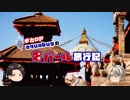 【ゆっくり】旅動画「ネパール編」第９話【aquabugの旅動画】
