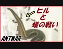アリVSウマビル～小さいアリのとっておき～