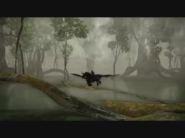 【FF14】ラケティカ大森林ＢＧＭ【映像ﾈﾀﾊﾞﾚ注意】