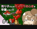 【マイクラ初見プレイ】売り子さんはマイクラ初心者を卒業したい!!　part11【オネエ要素注意】