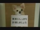 【ゆっくり実況】初心者の借金返済FX part3