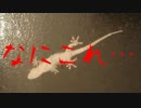 【閲覧注意】なにこれ…【グロ注意】