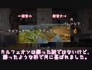 [黒い砂漠]ぼっちなウィッチの挑戦記18[ゆっくり実況]
