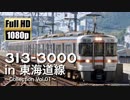 【JR東海】313系3000番台 in 東海道線 ～Collection Vol.01～