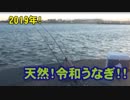 【うなぎ釣り】天然！令和うなぎを釣りあげる！