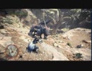 （クレスト実況）ＭＨＷ：ＩＢのβテスト　極秘依頼　古代樹の迅竜！　パート１