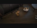 FINAL FANTASY XIV  光の戦士塾