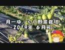 月一ゆっくり野菜栽培 2019年6月