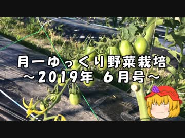 月一ゆっくり野菜栽培 2019年6月
