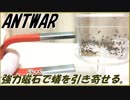 砂鉄入りお砂糖を食べたアリを磁石で引き寄せることは可能？
