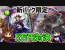 【シャドウバース実況#184】新パック２５０連して出たカードのみで対決!!