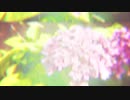 【オリジナル曲】レイニーブルー / 礼田電探 ft.初音ミク