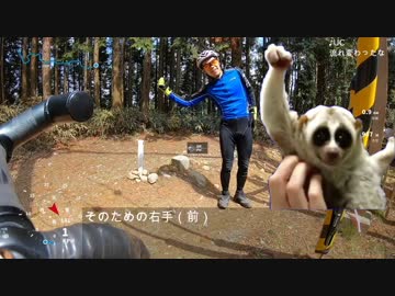 【ポケモンRTA】和泉葛城山ハイキングBコース攻略【リアル登山アタック】