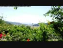 【生海月】なまくらじお【2019.7.1】
