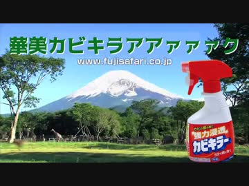 華美カビキラアアァァァク