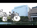 【今日のにゃんこ】佐賀県庁が謎の勢力に犬とへびをけしかけられていた【part 2】
