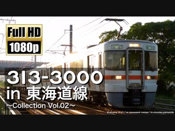 【JR東海】313系3000番台 in 東海道線 ～Collection Vol.02～