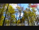 China Recommendation-The Most Beautiful Hulun Buir