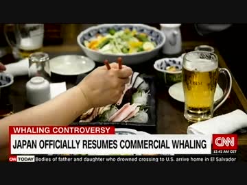 日本のIWCからの正式脱退に伴い31年振りに商業捕鯨を再開