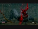 【SEKIRO】 隻狼ォン！アォン！.Part26