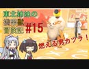 【ピカブイ】 ずん子のいない東北姉妹の携帯獣冒険記 #15【東北イタコ・きりたん実況プレイ 】
