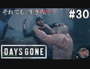 #30【DAYS GONE】開幕早々ボス戦開始！そしてブーちゃんの命運は…！？【ゆっくり実況】
