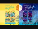 TWICE「HAPPY HAPPY」「Breakthrough」Information Video