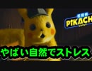 実はやばい自然の効果！知られざる情報をピカチュウが解説