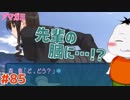 【#アマガミ #85(4週目 #09)】膝裏のことは膕(ひかがみ)といいます!!【 #ムービン #VTuber 】
