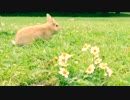 ビルドの一年をくしゃっと振り返る