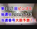 【ビンゴ５予想】第116回ビンゴ５「抽選日:2019/7/3」の当選番号を真剣に予想してみた（俺のビンゴ５予想）[俺のシリーズ]