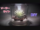 【99％ 100均の材料で作れる】ソーラーライトでテラリウムの作り方！