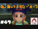 そりゃ顔も変わっちゃうよ( ｀ー´)ノ【ドラゴンクエストビルダーズ２】： 47