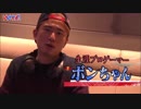 ボンちゃん/Bonchan 2019 上半期