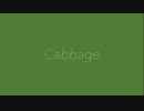 Cabbage