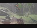 依頼を受けて、ラネール参道付近のライネルを飛ばしてみた