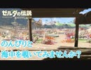 【BotW】バグを使って色ん時間の海中を眺めてみたよ【字幕】