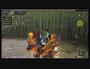背中を預ける親友がいないMHF-Z#17～GG編～