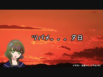 ツバメ。。。夕日【ボカロオリジナル曲】
