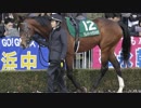 【ウイニングポスト8 2015】女馬主と早世馬の新世界【実況プレイ】347