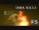 【実況】死にゲーの洗礼【DARK SOULS REMATERED】♯5