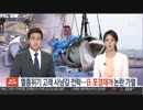 絶滅の危機にクジラが獲物に転落...日本捕鯨再開で論議加熱 韓国聯合TV