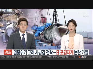 絶滅の危機にクジラが獲物に転落...日本捕鯨再開で論議加熱 韓国聯合TV