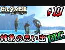 【ゼルダの伝説DLC実況】英傑の前に、姉として part19