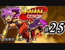 【Shantae 海賊の呪い】シャンティシリーズ、プレイしていきたい（トロフィー100%）part25【実況】