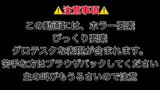 超ビビりなmiamoが行く ホームスイートホーム