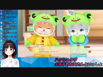 鈴鹿詩子「YouTubeと戦い過ぎた」